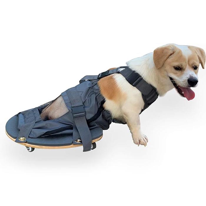 Scooter Pet Limb Paralysis - základní nástroj pro majitele domácích zvířat